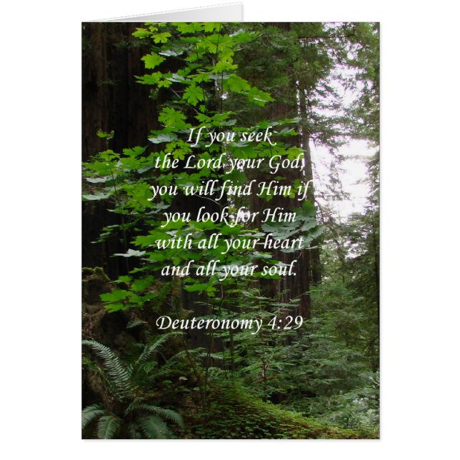 Deuteronomie 4:29 ~ Zoek de Heer (Voorkant)