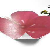 Deuteronomy 31, Do not be afraid, Red Floral Foto Afdruk (Hoek)