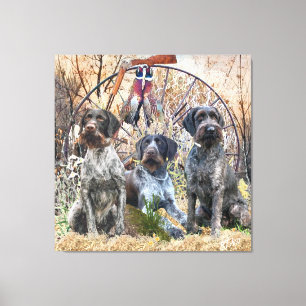 Deutsch Drahthaar Canvas Afdruk