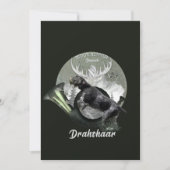 Deutsch Drahthaar Feestdagenkaart (Voorkant)