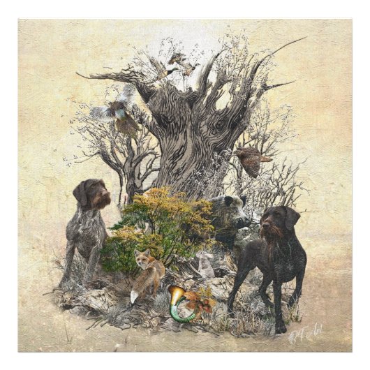 Deutsch Drahthaar Foto Afdruk (Voorkant)