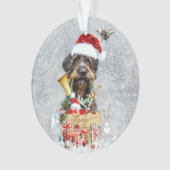 Deutsch Drahthaar, Joyeux Noël ! (devant)