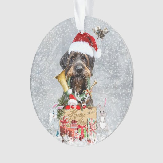 Deutsch Drahthaar, Joyeux Noël ! (devant)