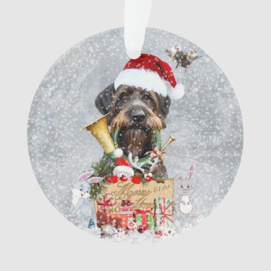 Deutsch Drahthaar, Joyeux Noël ! (devant)