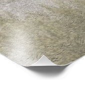 Deutsch Drahthaar Photo Print Foto Afdruk (Hoek)