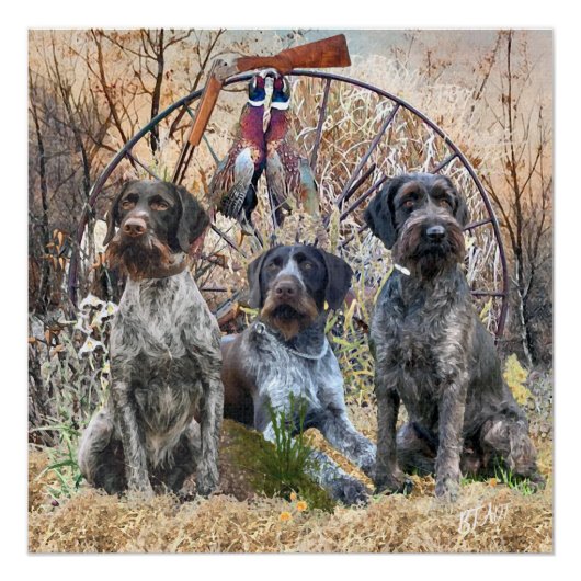 Deutsch Drahthaar Poster Perfect Poster (Voorkant)