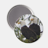 Deux aigles dans un aimant d'arbre (Recto/Verso)