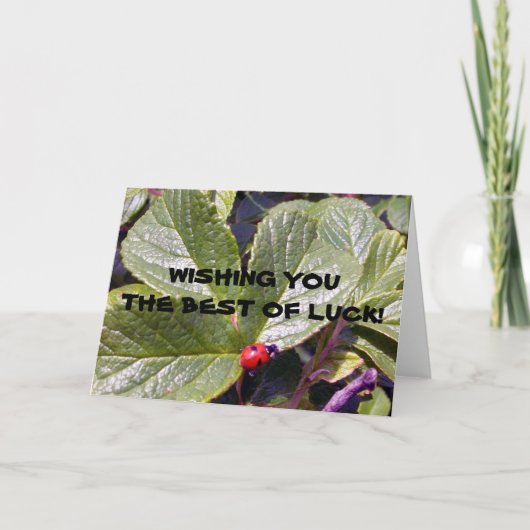 Deux années de coccinelle de carte de voeux (Devant)