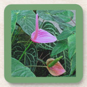 "DEUX ANTHURIUM" ENSEMBLE DE 6 DESSOUS DE VERRE EN (Devant)