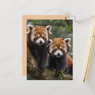 Deux Baby Red Pandas, Carte Postale Anniversaire