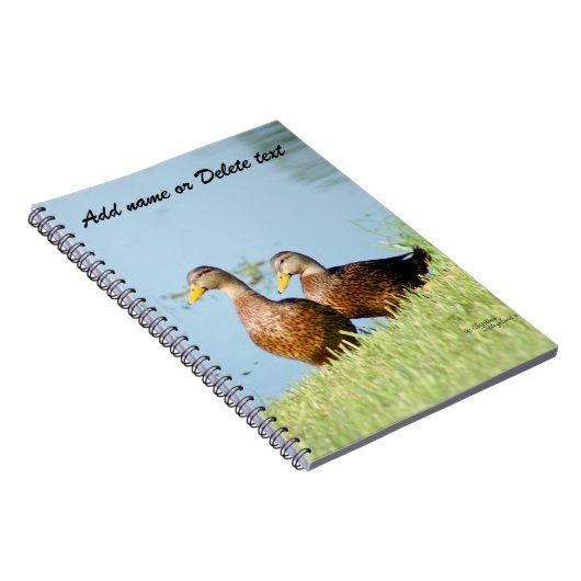 Deux Beaux Carnets de Canards (Côté Droit)
