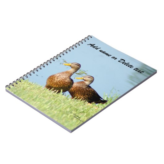 Deux Beaux Carnets de Canards (Côté gauche)
