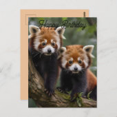 Deux bébés pandas roux, carte d'anniversaire (Devant / Derrière)