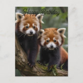 Deux bébés pandas roux, carte d'anniversaire (Devant)