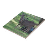 Deux carreaux en céramique de cerf noir (Côté)