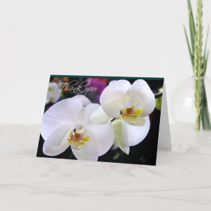 Deux cartes de remerciement pour l'orchidée