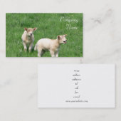 Deux cartes de visite d'agneaux (Devant / Derrière)