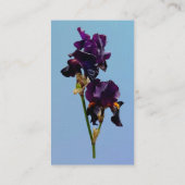 Deux Cartes de visite d'iris violets foncés (Dos)