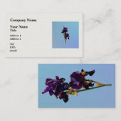 Deux Cartes de visite d'iris violets foncés (Devant / Derrière)