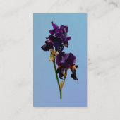 Deux Cartes de visite d'iris violets foncés (Dos)