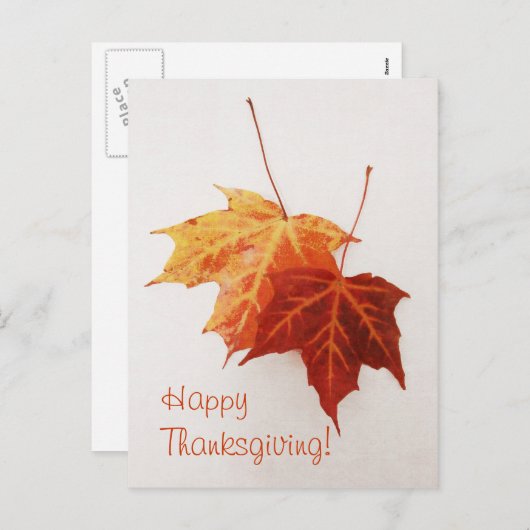 deux cartes postales feuilles en érable (Devant / Derrière)