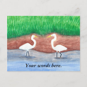 Deux cartes postales Grassy Shore Egrets blancs Mo