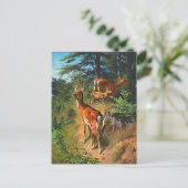 Deux Cerfs Et Cute Fawn Dans La Carte Postale Forê (Debout devant)