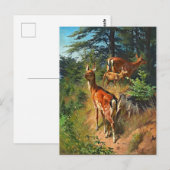 Deux Cerfs Et Cute Fawn Dans La Carte Postale Forê (Devant / Derrière)
