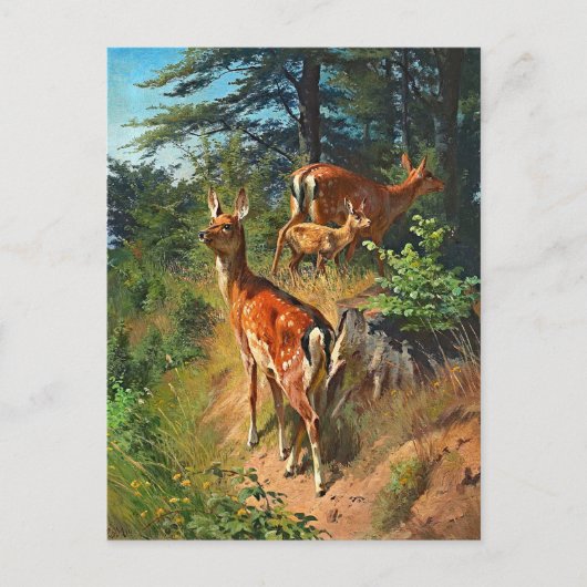Deux Cerfs Et Cute Fawn Dans La Carte Postale Forê (Devant)
