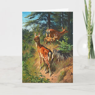 Deux Cerfs Et Mignons Fawn Dans La Carte Vierge De