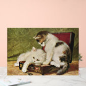 Deux chatons joueurs (Mariage)