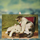 Deux chatons joueurs (Neutre)