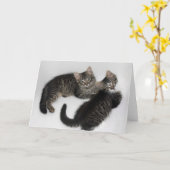 Deux chatons Secourus - Carte de voeux vierge (Fleur jaune)
