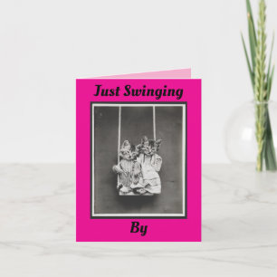 Deux Chatons Sur Carte À Voile