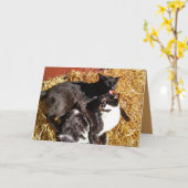 Deux chats amoureux Carte de voeux (Fleur jaune)