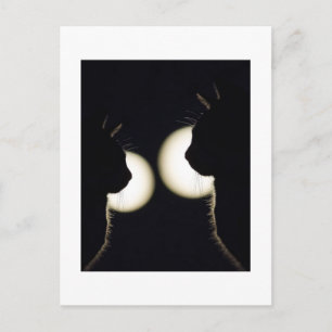 Deux chats de nuit briefkaart