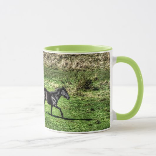 Deux Chevaux De Ranch Joueurs Photo Mug (Droite)