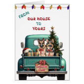 Deux Chiens de Berger Allemands Agritourisme Camio (Devant)