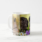 Deux chiens de la Mug (Devant gauche)