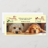 Deux chiens modèle photo de carte de Noël (Devant / Derrière)