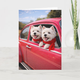 Deux chiens Westie dans une carte de la Saint-Vale