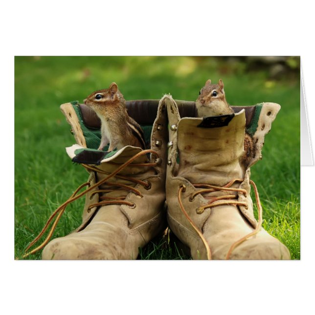 deux chipmunks en bottes de travail (Devant horizontal)