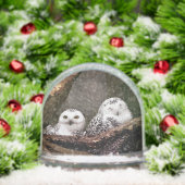 Deux Chouettes (Noël)