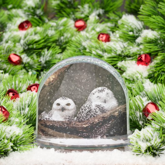 Deux Chouettes (Noël)