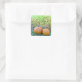 Deux Citrouilles mignons en Stickers Halloween Cor (Sac)