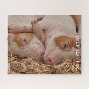 Deux cochons couchés Photo Jigsaw Puzzle