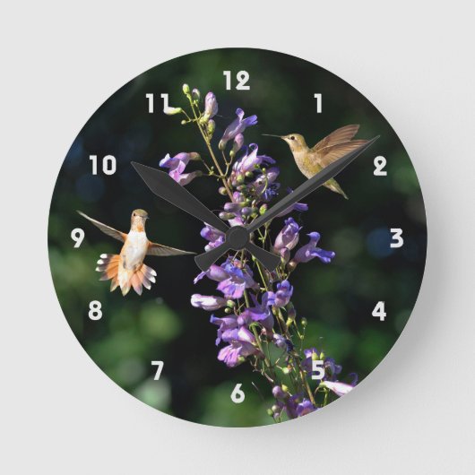 Deux Colibris En Vol Avec Horloge Murale Fleurie (Recto)