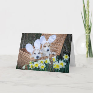 Deux Corgis dans une carte de vœux de Pâques en pa