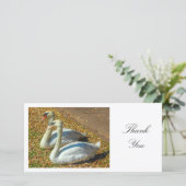 Deux cygnes - Merci (Debout devant)