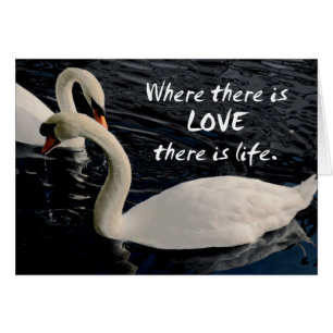 Deux cygnes sur le lac